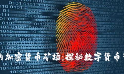 全球最大的加密货币矿场：探秘数字货币背后的力量