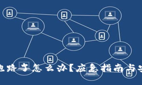 TP钱包跑路了怎么办？应急指南与安全建议