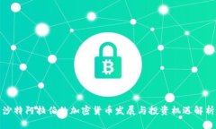 沙特阿拉伯的加密货币发展与投资机遇解析