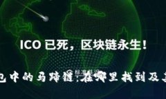 探索TP钱包中的马蹄链：在哪里找到及其功能解析