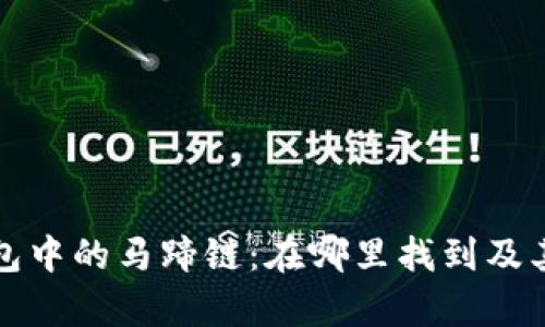 探索TP钱包中的马蹄链：在哪里找到及其功能解析