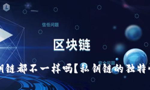 tP钱包每个私钥链都不一样吗？私钥链的独特性与安全性分析