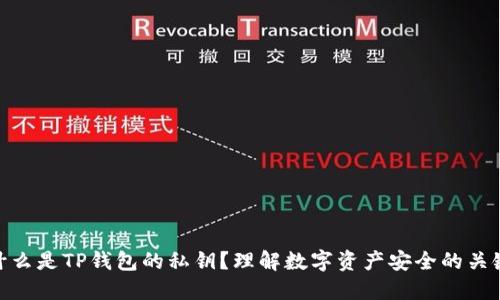 什么是TP钱包的私钥？理解数字资产安全的关键