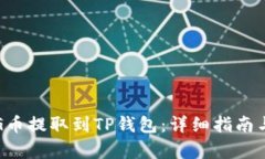 如何将PIG币提取到TP钱包：详细指南与步骤解析