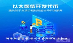 狮子加密货币：揭示背后的机遇与挑战