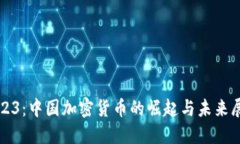 2023：中国加密货币的崛起与未来展望