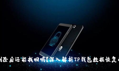 TP钱包删除后还能找回吗？深入解析TP钱包数据恢复的可能性