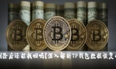 TP钱包删除后还能找回吗？深入解析TP钱包数据恢