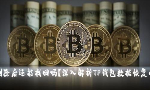 TP钱包删除后还能找回吗？深入解析TP钱包数据恢复的可能性