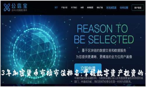 2023年加密货币市场市值排名：掌握数字资产投资的关键