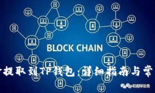 如何将资金提取到TP钱包：详细指南与常见问题解答
