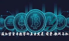 中国加密货币数字的未来发展：前景、挑战与机