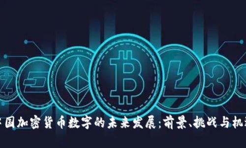 中国加密货币数字的未来发展：前景、挑战与机遇
