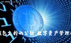 探索TP钱包支持的公链：数字资产管理的新选择