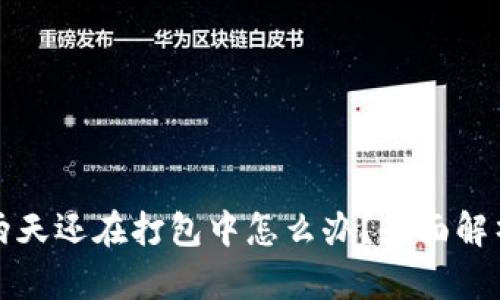 TP钱包转账两天还在打包中怎么办？全面解析及解决方案