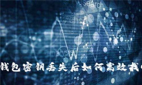 TP钱包密钥丢失后如何高效找回？