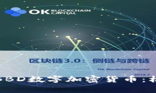 全面解析BBD数字加密货币：机会与挑战