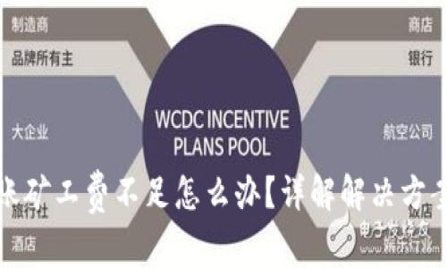 : TP钱包转账矿工费不足怎么办？详解解决方案与常见问题