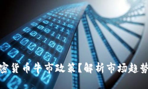 如何把握加密货币牛市政策？解析市场趋势与投资策略