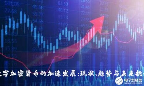 数字加密货币的加速发展：现状、趋势与未来挑战