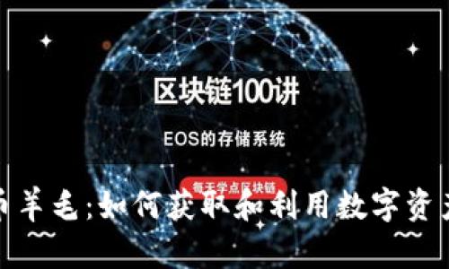 加密货币羊毛：如何获取和利用数字资产的福利