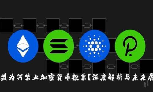 欧盟为何禁止加密货币投票？深度解析与未来展望