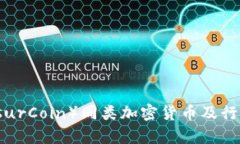 保险币（InsurCoin）同类加密货币及行业发展分析