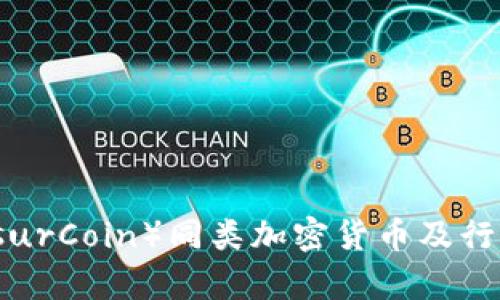 保险币（InsurCoin）同类加密货币及行业发展分析