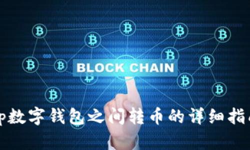 tp数字钱包之间转币的详细指南