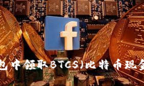 如何在TP钱包中领取BTCS（比特币现金）：全面指南