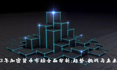 2023年加密货币市场全面分析：趋势、挑战与未来展望