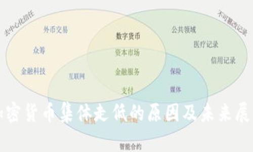 加密货币集体走低的原因及未来展望