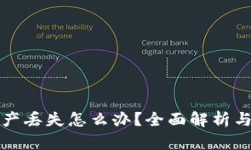 TP钱包资产丢失怎么办？全面解析与解决方案