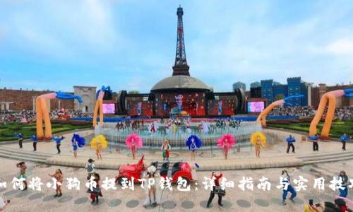 如何将小狗币提到TP钱包：详细指南与实用技巧