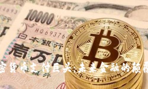 加密货币支付巨头：未来金融的颠覆者