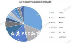 什么是PKI加密货币符号？