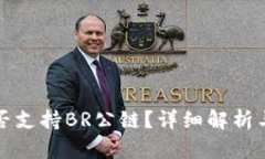 TP钱包是否支持BR公链？详细解析与用户指南