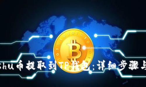 如何将Kishu币提取到TP钱包：详细步骤与注意事项