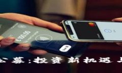 加密货币公募：投资新机遇与风险解析