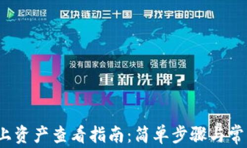 
t p钱包链上资产查看指南：简单步骤与常见问题解答