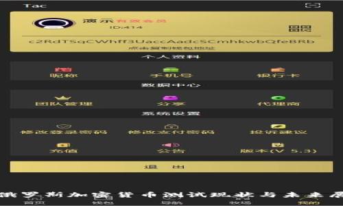 : 俄罗斯加密货币测试现状与未来展望