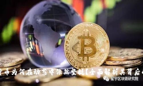 加密货币为何在动荡中依然坚挺？全面解析其背后的原因
