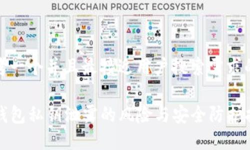 思考一个并且最接近用户搜索需求的

TP钱包私钥泄露的风险与安全防护指南