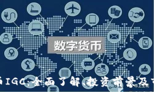   
加密货币IGC：全面了解、投资前景及市场趋势