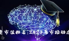 加密货币投资市值排名：2023年市场动态与投资策