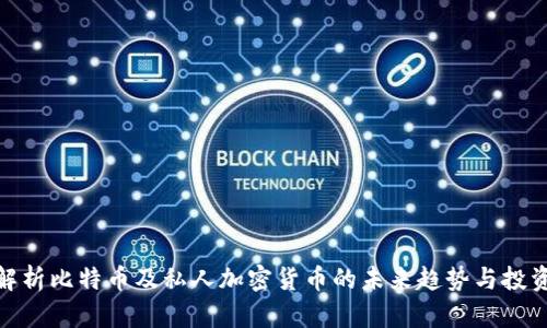 全面解析比特币及私人加密货币的未来趋势与投资机会