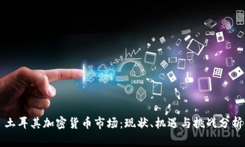 土耳其加密货币市场：现状、机遇与挑战分析
