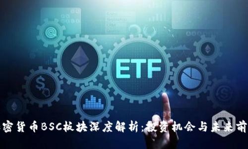 加密货币BSC板块深度解析：投资机会与未来前景