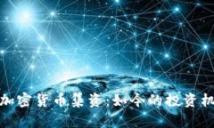 全面解析加密货币集资：如今的投资机会与风险