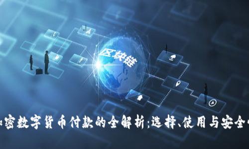 加密数字货币付款的全解析：选择、使用与安全性